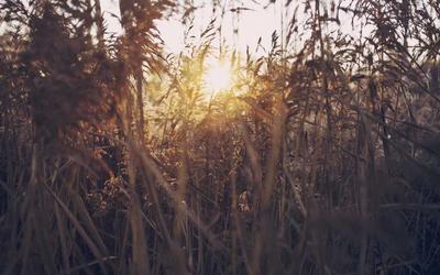 Screen registration best practices